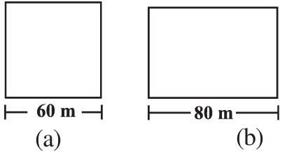 area-of2d-shape-wp-q1.png area-of2d-shape-wp-q1.png