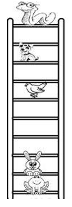 cardinal-ordinal-number-q1