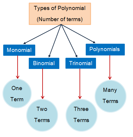 classifying-poly-by-degree-and-numb-of-terms classifying-poly-by-degree-and-numb-of-terms