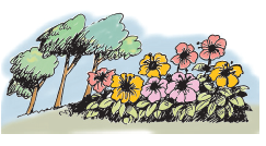 expressasratioq4.png expressasratioq4.png