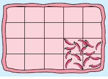 fraction-to-percentage-q1 fraction-to-percentage-q1