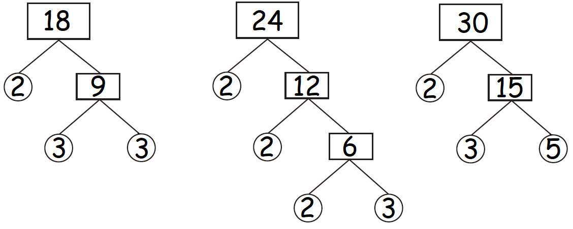 Prime Factorization