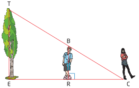 missing-measure-with-similar-triangle-q3.png missing-measure-with-similar-triangle-q3.png