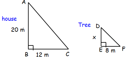 Similar Triangles and Indirect Measurement