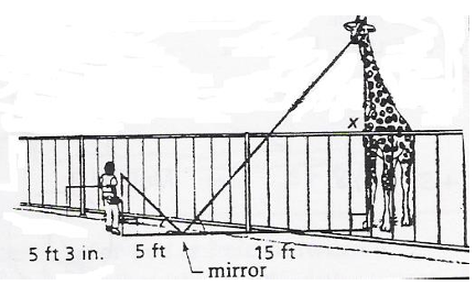 similar-triangles-word-problem-q6.png similar-triangles-word-problem-q6.png