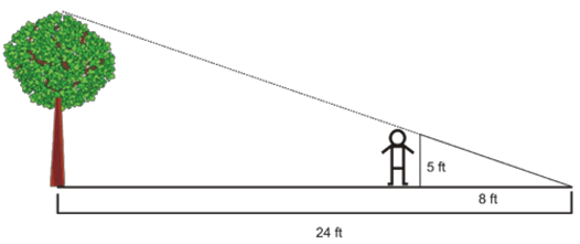similar-triangles-word-problem-q8.png similar-triangles-word-problem-q8.png