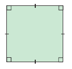 squareonquad squareonquad