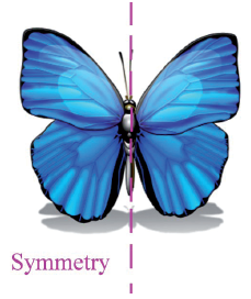 Symmetry