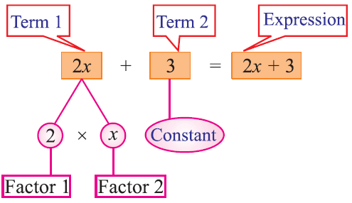 Expression- Term, Factor, Coefficient :Definition and examples - Cuemath