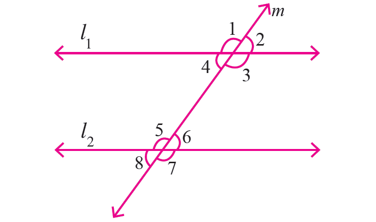 Parallel Lines Transversal Worksheet