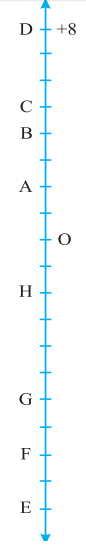 Graph Integers on Horizontal and Vertical Number Lines