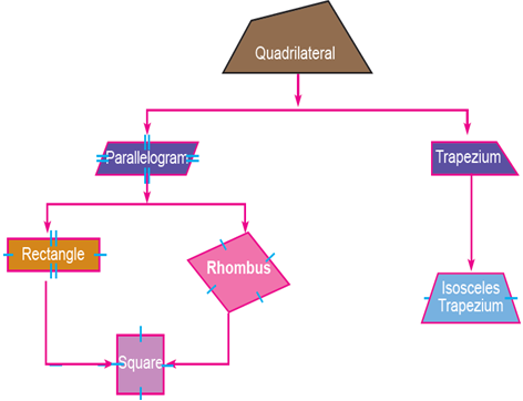 Identify and classify polygons