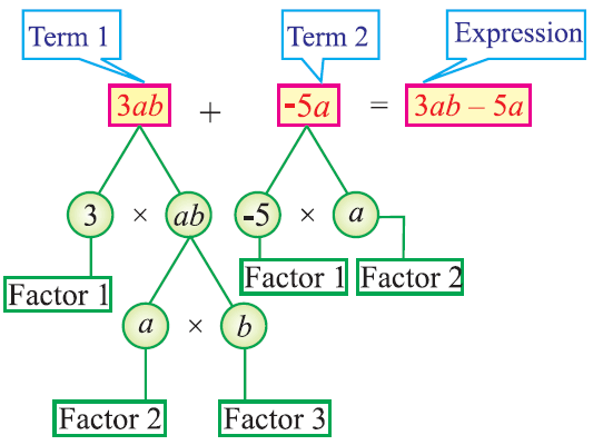 Terms factors and coefficients